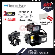 Tsunami Water Pump CMH2-40-K Water Booster Pump Water Pump Home (0.75hp)