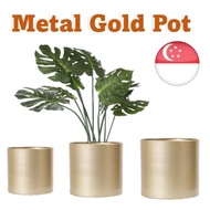 [SG SELLER] Metal Gold Display Pot Vase Multi Purpose Hari Raya