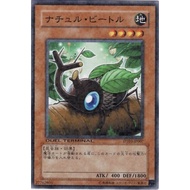 DT03 DT03-JP007DTCommon Naturia Beetle Duel Terminal 3 DTCommon DT03-JP007 0807034066049