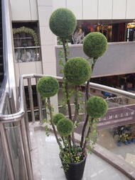 仿真植物樹假樹黃楊樹草球樹密葉球大型綠植花歐式造型盆栽送盆
