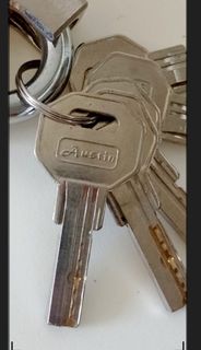 Austin 50MM 鐵閘鎖 捲閘鎖  大閘鎖  大門鎖  配備5條原裝電腦鎖匙  高度保安 安全可靠  全新 未用過  家居防盜