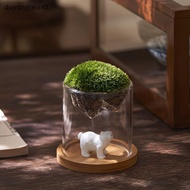 (duyongtear0) Glass Terrarium For Mountain Views Moss Planter Hydroponic Plant Container Multifuncti