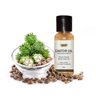 CASTOR OIL OCOC DR RIZAL HOT ITEM