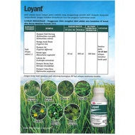 LOYANT (500ML) Racun Rumput Sambau / Racun Rumput Padi Burung / Racun Rumput Keladi Agas / Racun Rum