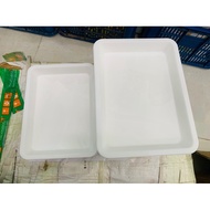 EXPERIMENTAL PLASTIC TRAY 20X30CM