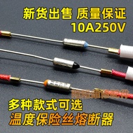 Universal Egg Steamer Electric Kettle Garment Steamer Hair Dryer Hot Air Gun Temperature Fuse Tube D