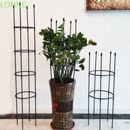 LONNGZHUAN Plant Support Trellis, Climbing Plants Infinitely Spliceable Garden Trellis, Home Garden Climbing Flowers Vegetable Vertical Climbing Stackable Rose Trellis Indoor