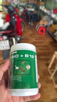 Bio B12 - ÚM GÀ CON GÀ ĐÁ CHIM CẢNH