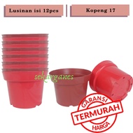 TERLARIS Lusinan Pot Bunga Murah /pot Tanaman /pot Plastik Uk 20 Cm Hi