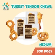 Afreschi Natural Turkey Tendon Bone (M) 36g Dog Food Treat Single Ingredient High Protein