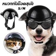 Dog Helmet