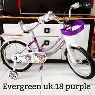 New Sepeda Anak Perempuan Ukuran 18 Sepeda Anak Cewek Sepeda Evergreen
