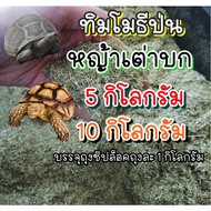 *Turtle Grass* Size 5kg/10kg Ground Timothy Grass/Ground Grass/Turtle Powder/Order Daily