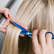 SR Stainless Steel Electroplating Straight Hair Scissors 4Cr13 - SR6