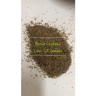 50g organic sargrassum fertiliser 50g organic Seaweed Fertilizer Mixed water Use When Watering mix w