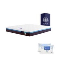ที่นอนพ็อกเก็ตสปริง 6 ฟุต สุญญากาศ LOTUS รุ่น ASLEEP III พร้อมหมอนหนุน 2 ใบ (1285443)