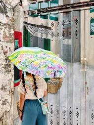 陽明山繡球花 晴雨傘 插畫 折疊傘 雨傘 Mstandforc