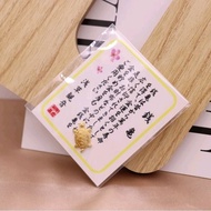 ️Asakusa's Lucky Turtle