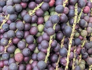 Combo 3 ký quả đủng đỉnh đã phơi khô