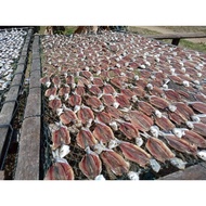 Ikan Kering 500g (Ikan Tamban Belah)