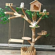 Tree-shaped Cat Climbing Frame Solid Wood Wear-Resistant Tree House Cat Toy Cat Litter Integrated Household Cat Sc