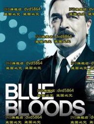DVD 歐美劇【警網急先鋒第十季/警察世家/藍血】2019年英語 /中字