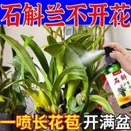 【有機肥】【花肥】石斛蘭營養液 鐵皮石斛生根壯苗發芽專用肥料 催發芽通用型盆栽花肥