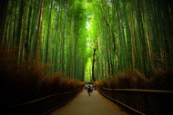 【日本】京都一日遊｜金閣寺・嵐山・三十三間堂・清水寺｜大阪／京都出發