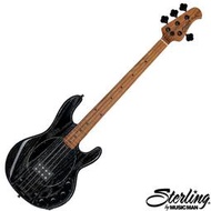 【又昇樂器】Sterling by MusicMan StingRay RAY34 ASH Bass貝斯