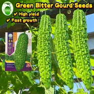 10Seeds/pack Biji Benih Peria Hijau Green Bitter Gourd Seeds for Planting Benih Peria Bitter Gourd S