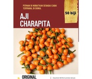 Benih cabai aji charapita super cabai termahal/cabai unik 100butir biji