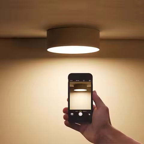 Good Quality Small LED Ceiling Lights Surface Mounted Downlight For Hallway Corridor Kitchen Bedroom