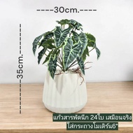 Artificial Plants With Good Meaning With Roots Put In A Modern Pot With Stones. There Are 24 Pieces 