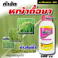 เลนโค่ 500 cc 🛑 อะลิโนฟอส #โกลอะนิล #โฟนิฟอส กำจัดวัชพืชดื้อยา ในนาข้าว หญ้าข้าวนก หญ้ากระดูกไก่ หญ้