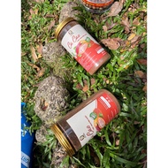 Premium 100% Pure Fine Flavor Cacoa (500gram, powder)