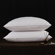 2Pcs 93% Goose Feather Down Pillows Neck Pillows for Sleeping 1 Pair Bed Pillow Inserts 100% Cotton