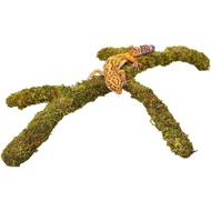 Leopard Gecko Tank Accessories, Adjustable Climbing Toys Supplies, Terrarium Habitat Decor