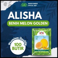 Terbaru Benih Melon Alisha + Benih Melon Golden Alisha + Alisha Melon + Panah Merah Alisha