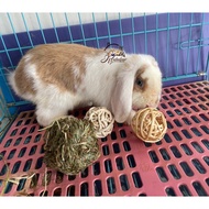 Timothy/Alfalfa Hay Chewing Ball Toy(for rabbit/guinea pig)