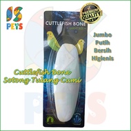 Cuttlefish Bone Cuttlefish Bone Premium Super Jumbo Squid Pickled Shell