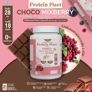 PROTEIN PLANT Protein Plant Formula 3 (Chocolate Mixed Berry Flavor) 900 grams/jar (2 pounds 2LBS) c