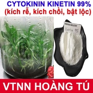 Cytokinin Kinetin 99% (Stimulates roots and buds in tissue culture)