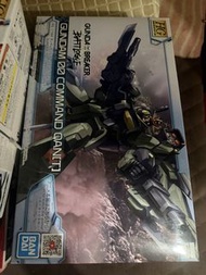 Gundam 00 Command QanT HG