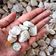 (20kg / 40kg) White Chipping Stone Batu Hiasan Putih River Pebble Stone Gardening Landscape Decorati