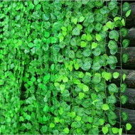 Various artificial vines plastic vines for home decoration