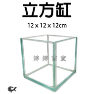 Cube Tank 12x12x12cm Betta Small Fish Guppy Crayfish Table Tingting Department Store Jinjin Aquarium
