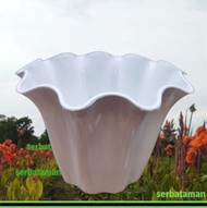 Unik Pot bunga primadona 20 putih KB Shallom Pot Plastik Murah