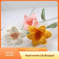 DIY Wool Knitting Bouquet Wool Material Kit Lily Crochet diy Material Kit Beginner Wool Knitting Bou
