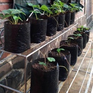 Seed Center Polybag Polybag Uk 18x35 (1 Sheet)