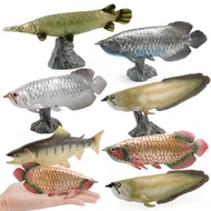 Simulation Animal Model Arowana Silver Arowana Guppy Eel Sea Life Model Ornaments